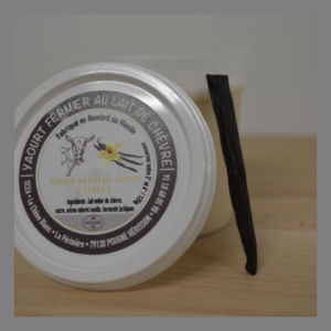 Crème dessert vanille